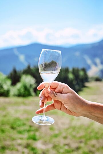 caviste en ligne, cave a vins, cave a vins en ligne, cave a vins vence, cave a vins nice, blog vins, vins du monde en ligne, vins français en ligne, spiritueux achat en linge, achats vins en ligne