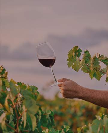 Nouveaux vins du monde Nouveaux vins du monde